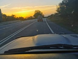 2023-09-29 SALAMANDRA II